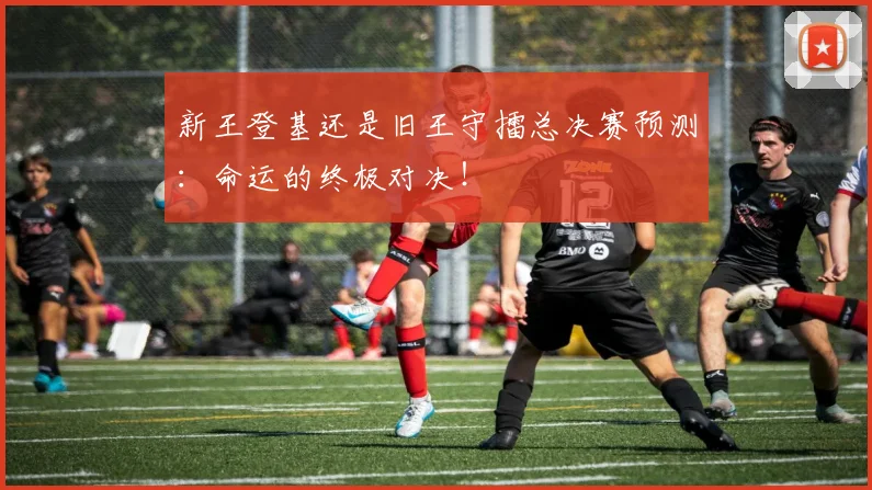 新王登基还是旧王守擂总决赛预测：命运的终极对决！