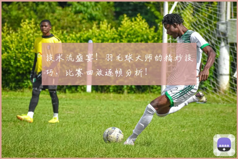 技术流盛宴！羽毛球大师的精妙技巧，比赛回放逐帧分析！