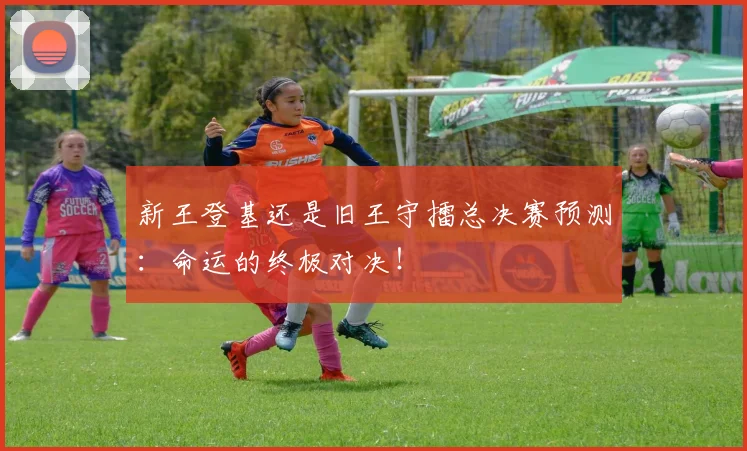新王登基还是旧王守擂总决赛预测:命运的终极对决!
