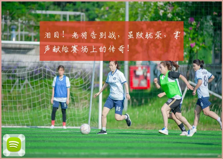 泪目！老将告别战，虽败犹荣，掌声献给赛场上的传奇！